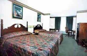 Comfort Suites Hotel Comfort Suites Hotel