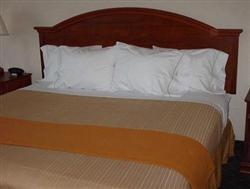 Holiday Inn Express Bellevue Holiday Inn Express Bellevue