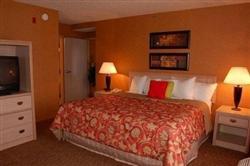 Holiday Inn Bolingbrook Holiday Inn Bolingbrook