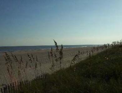 Microtel Inn And Suites Carolina Beach Microtel Inn And Suites Carolina Beach