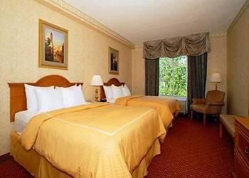 Comfort Suites Comfort Suites
