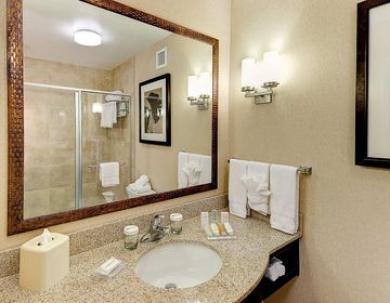 Hilton Garden Inn El Paso Airport Hilton Garden Inn El Paso Airport