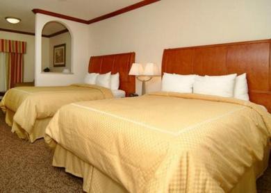 Comfort Suites Comfort Suites