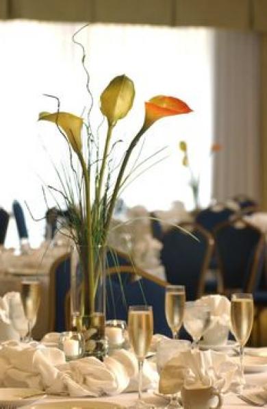 Doubletree By Hilton Greensbor Doubletree By Hilton Greensbor