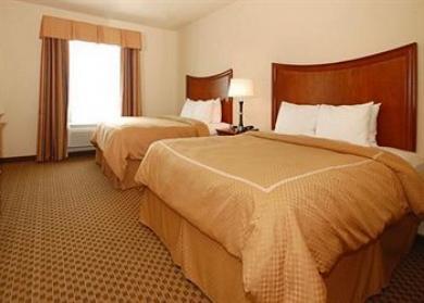 Comfort Suites Comfort Suites