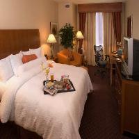 Hilton Garden Inn DFW Airport South Hilton Garden Inn DFW Airport South