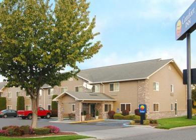 Comfort Inn Comfort Inn