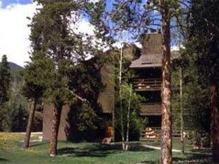 The Forest Condos The Forest Condos