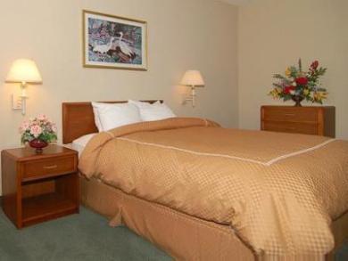 Comfort Suites Comfort Suites