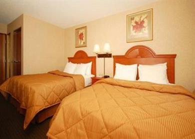 Comfort Inn Lexington Comfort Inn Lexington