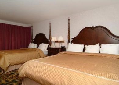 Comfort Suites Comfort Suites