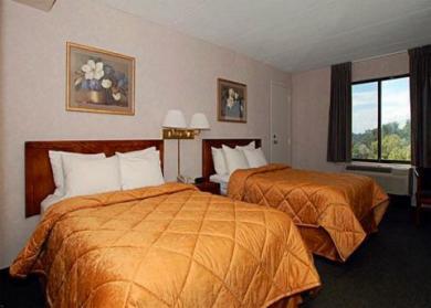 Comfort Inn The Pointe Hotel Comfort Inn The Pointe Hotel