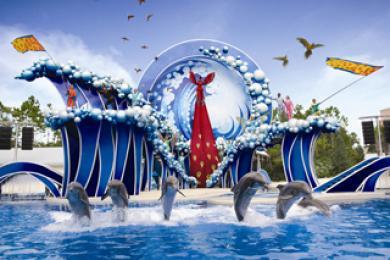 Sea World + Transfers Sea World + Transfers