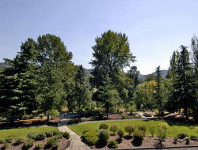 Travelodge Roseburg Travelodge Roseburg