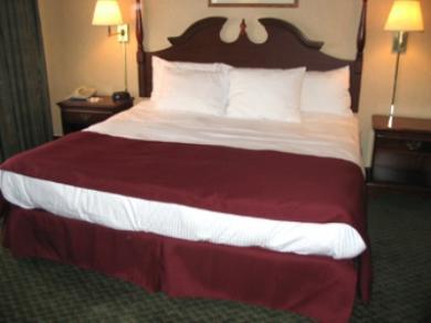 Quality Inn Southfield Quality Inn Southfield