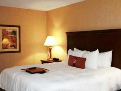 Hampton Inn St. Louis-Airport Hampton Inn St. Louis-Airport