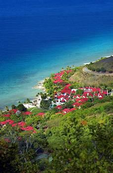 Carambola Beach Resort - European Plan Carambola Beach Resort - European Plan