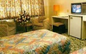 Safari Hotel Safari Hotel