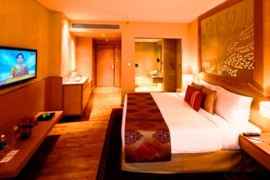 Radisson Blu Hotel New Delhi Dwarka Radisson Blu Hotel New Delhi Dwarka