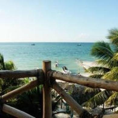 La Palapa Holbox La Palapa Holbox