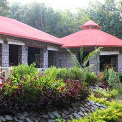 Wild Chalet Resort Wild Chalet Resort