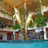 Cozumel Hotel and Resort Cozumel Hotel and Resort