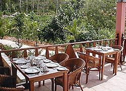 Rainforest Resort Rainforest Resort
