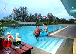 Evergreen Laurel Penang Evergreen Laurel Penang