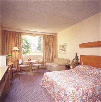 Country Comfort Armidale Country Comfort Armidale