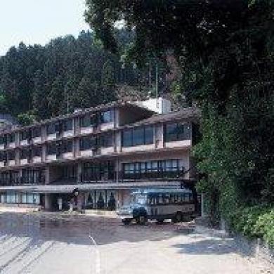 Shin Iya Onsen Hotel Kazurabashi Shin Iya Onsen Hotel Kazurabashi