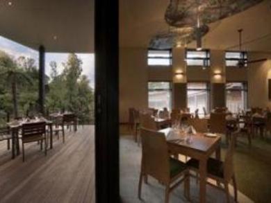Te Waonui Forest Retreat Te Waonui Forest Retreat