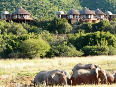 Nguni River Lodge Nguni River Lodge