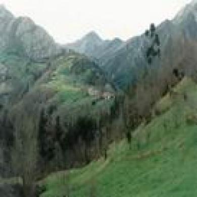 Benzua Benzua