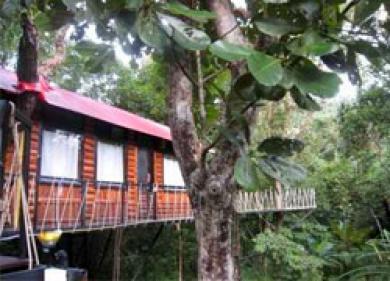 Khao Sok Tree House Resort Khao Sok Tree House Resort