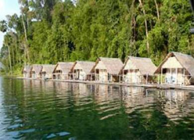 Tree Tops Jungle Safaris Tree Tops Jungle Safaris