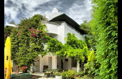 Golden Gate Hotel & Studios Golden Gate Hotel & Studios