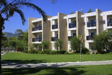 Suntopia Tropical Suntopia Tropical