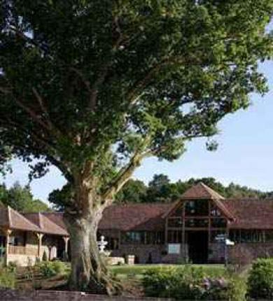 Old Thorns Manor Old Thorns Manor