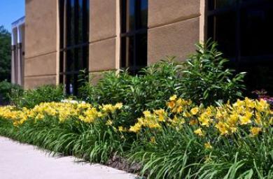 Hampton Inn Alexandria Hampton Inn Alexandria
