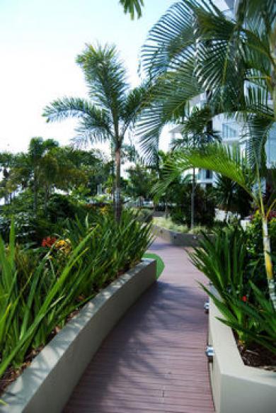 Vision Cairns Esplanade Apartm Vision Cairns Esplanade Apartm