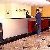 Cambirela Cambirela