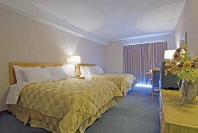 Comfort Inn Comfort Inn