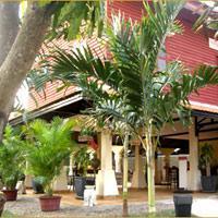 Pavillon d'Orient Boutique-Hotel Pavillon d'Orient Boutique-Hotel
