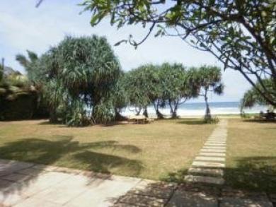 Temple Tree Resort Temple Tree Resort