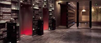 Park Hyatt Hotel Beijing Park Hyatt Hotel Beijing