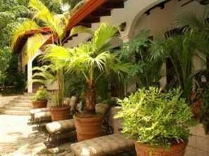 Villas Lirio Villas Lirio