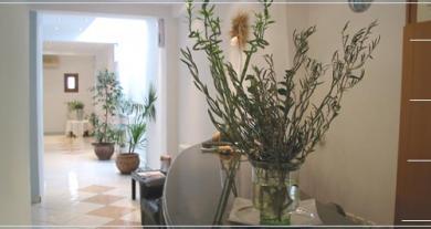 Theoxenia Hotel Theoxenia Hotel
