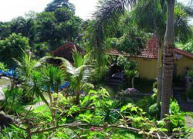 Dewa Bharata Ubud Dewa Bharata Ubud
