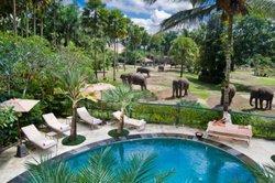 Elephant Safari Park Lodge Elephant Safari Park Lodge