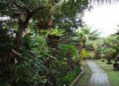 Ibunda Inn and Spa Ibunda Inn and Spa